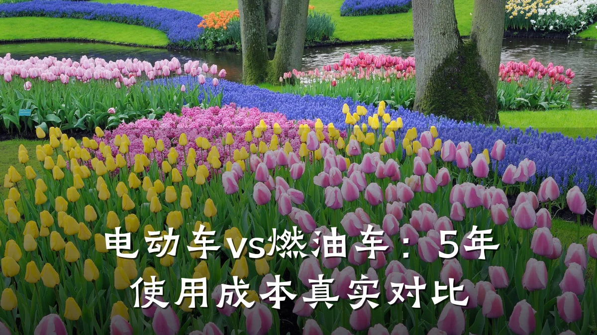 电动车vs燃油车:5年使用成本真实对比