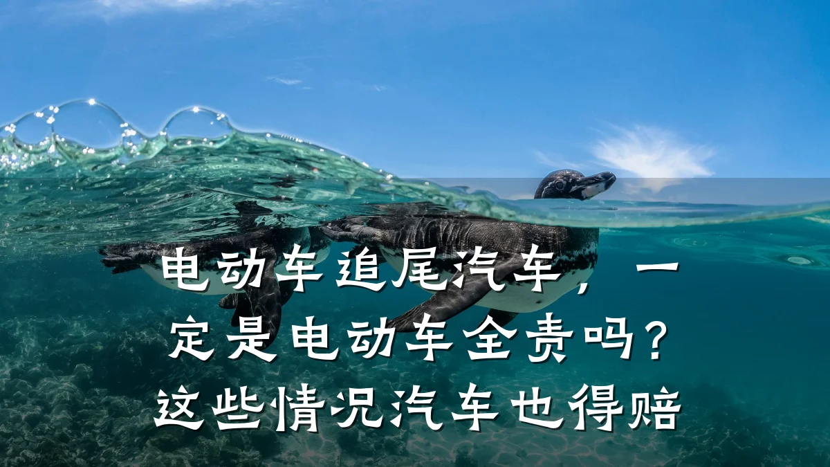 电动车追尾汽车，一定是电动车全责吗？这些情况汽车也得赔