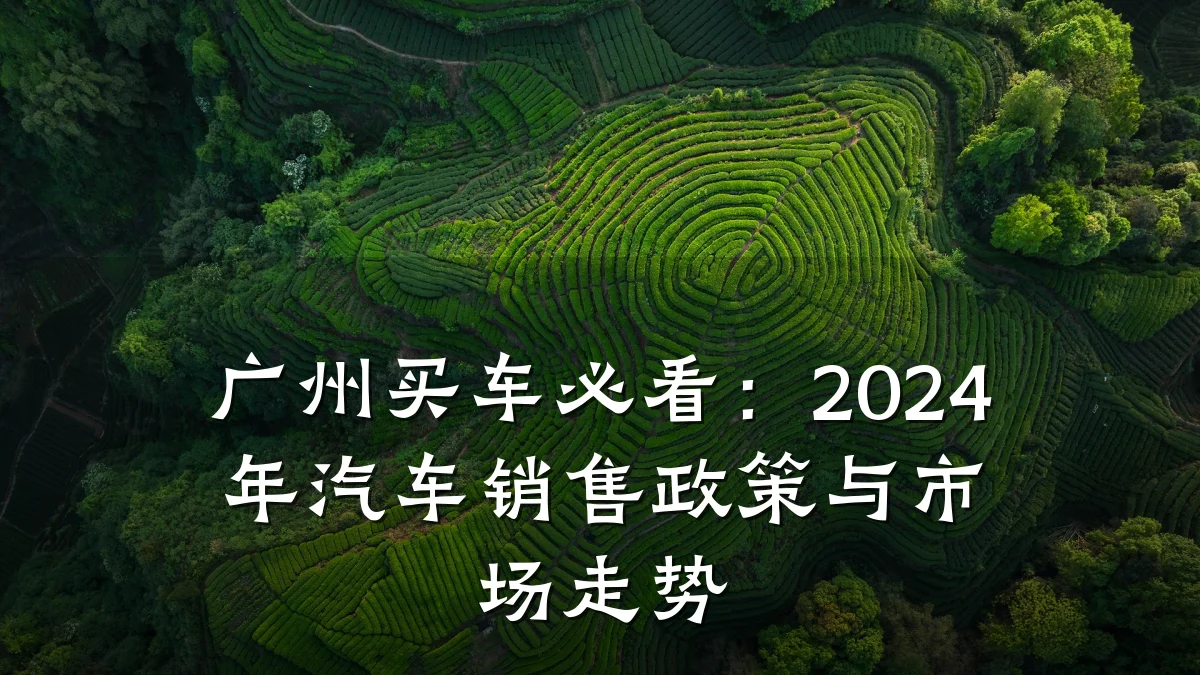 广州买车必看:2024年汽车销售政策与市场走势