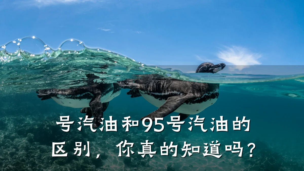 号汽油和95号汽油的区别,你真的知道吗?