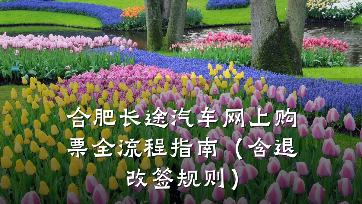 合肥长途汽车网上购票全流程指南(含退改签规则)