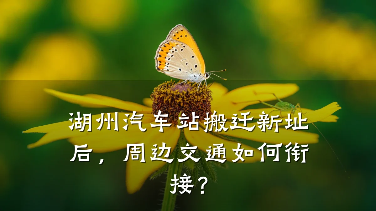 湖州汽车站搬迁新址后，周边交通如何衔接？