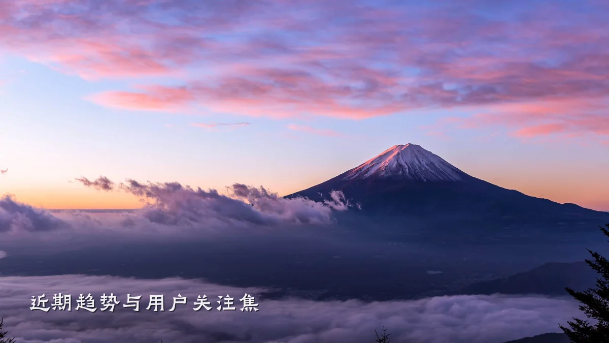 近期趋势与用户关注焦