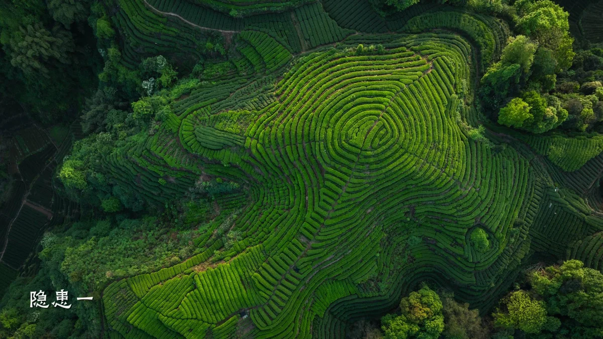 隐患一