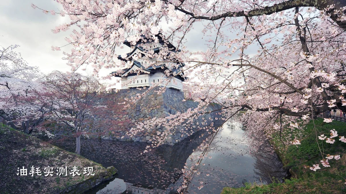 油耗实测表现