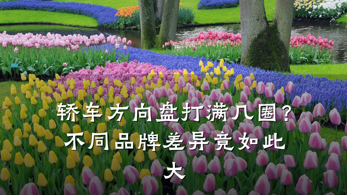 轿车方向盘打满几圈?不同品牌差异竟如此大