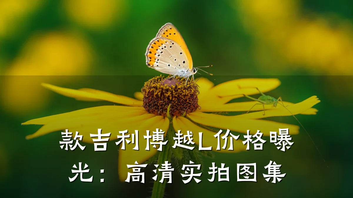 款吉利博越L价格曝光：高清实拍图集