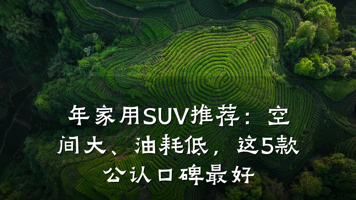 年家用SUV推荐:空间大、油耗低,这5款公认口碑最好