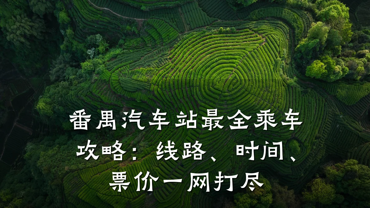 番禺汽车站最全乘车攻略:线路、时间、票价一网打尽