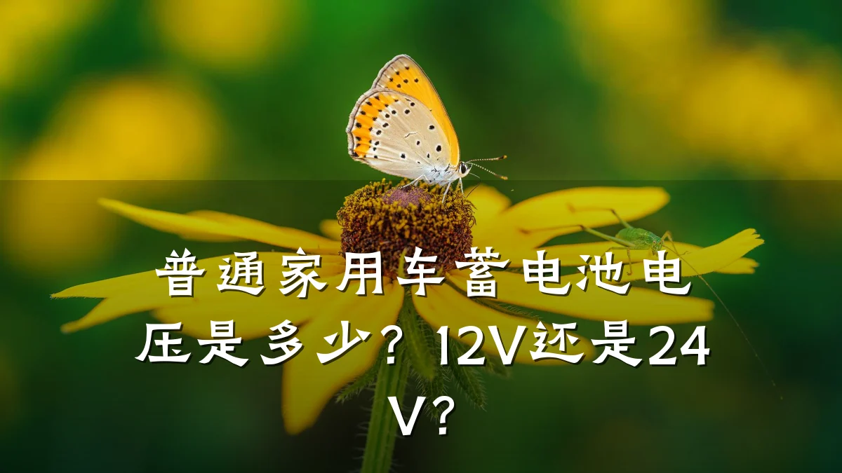 普通家用车蓄电池电压是多少?12V还是24V?