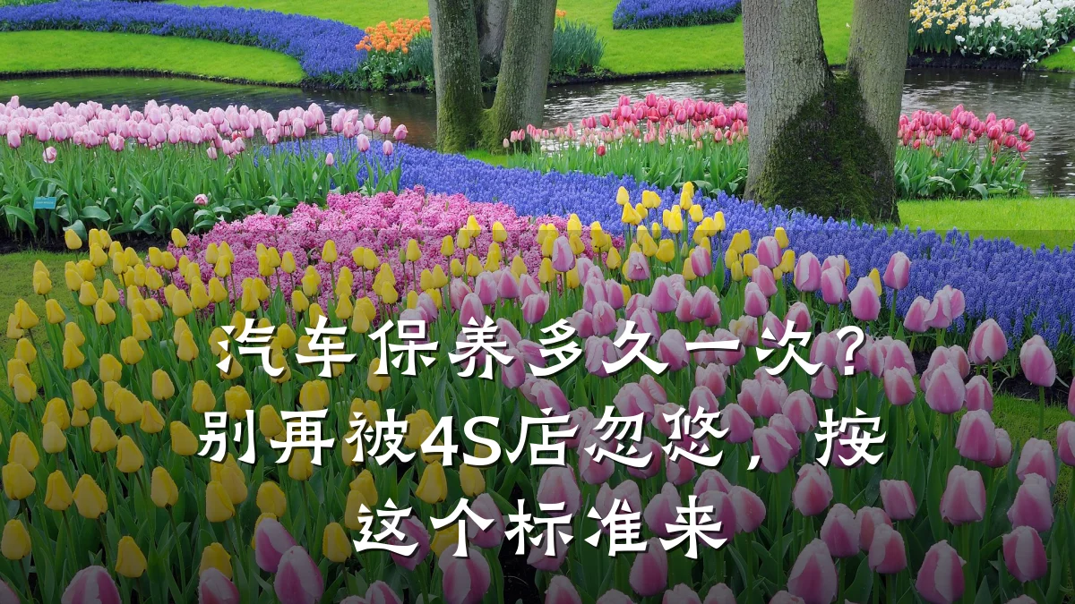 汽车保养多久一次?别再被4S店忽悠,按这个标准来
