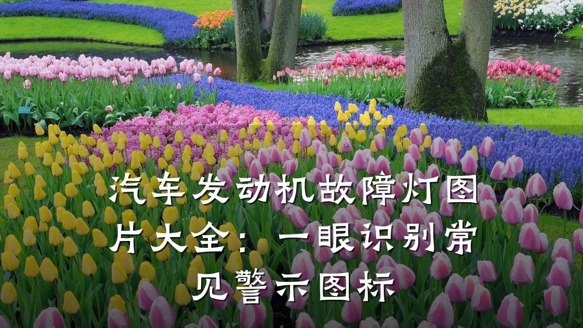 汽车发动机故障灯图片大全：一眼识别常见警示图标