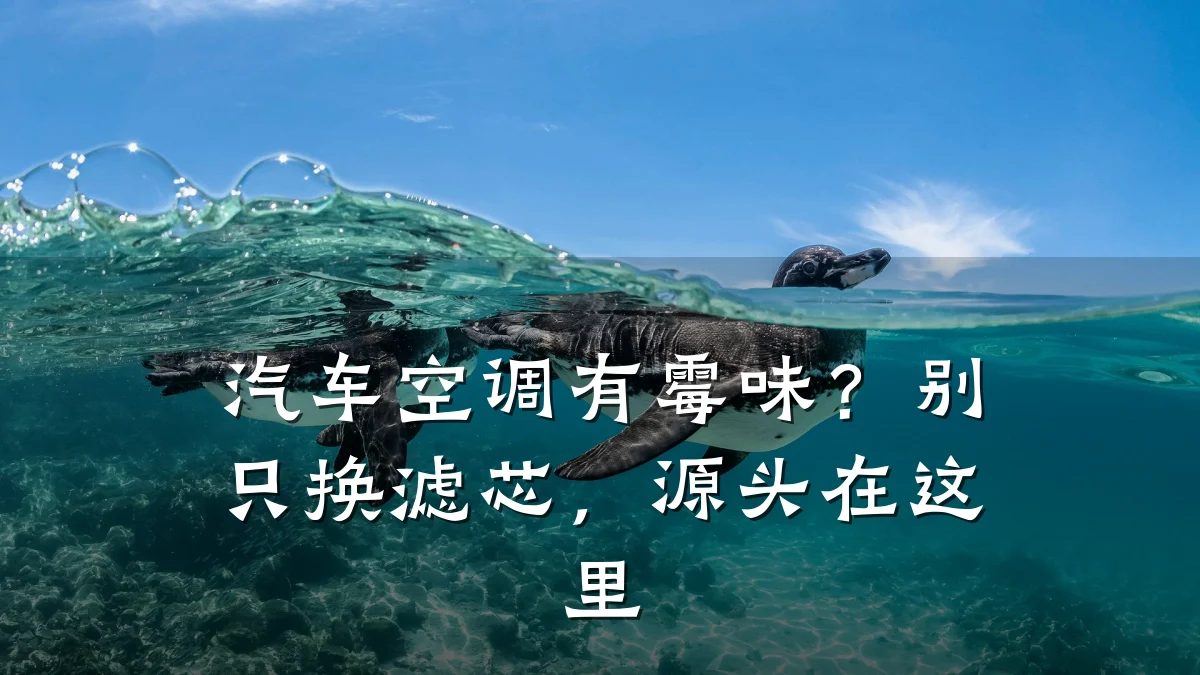 汽车空调有霉味?别只换滤芯,源头在这里