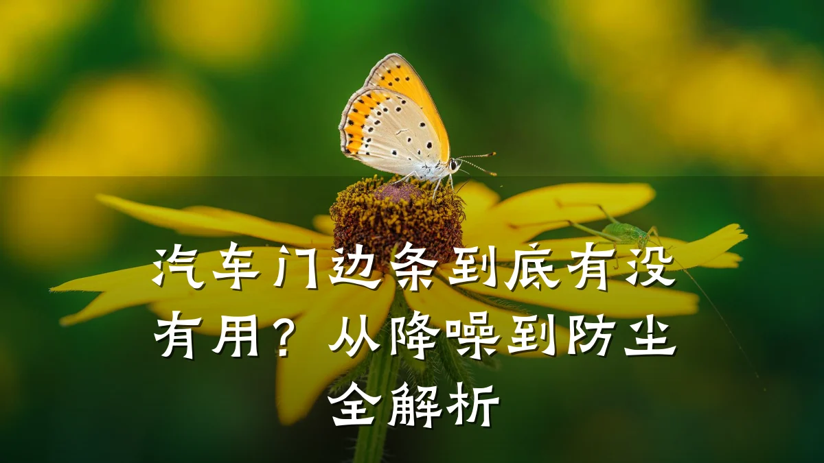 汽车门边条到底有没有用?从降噪到防尘全解析