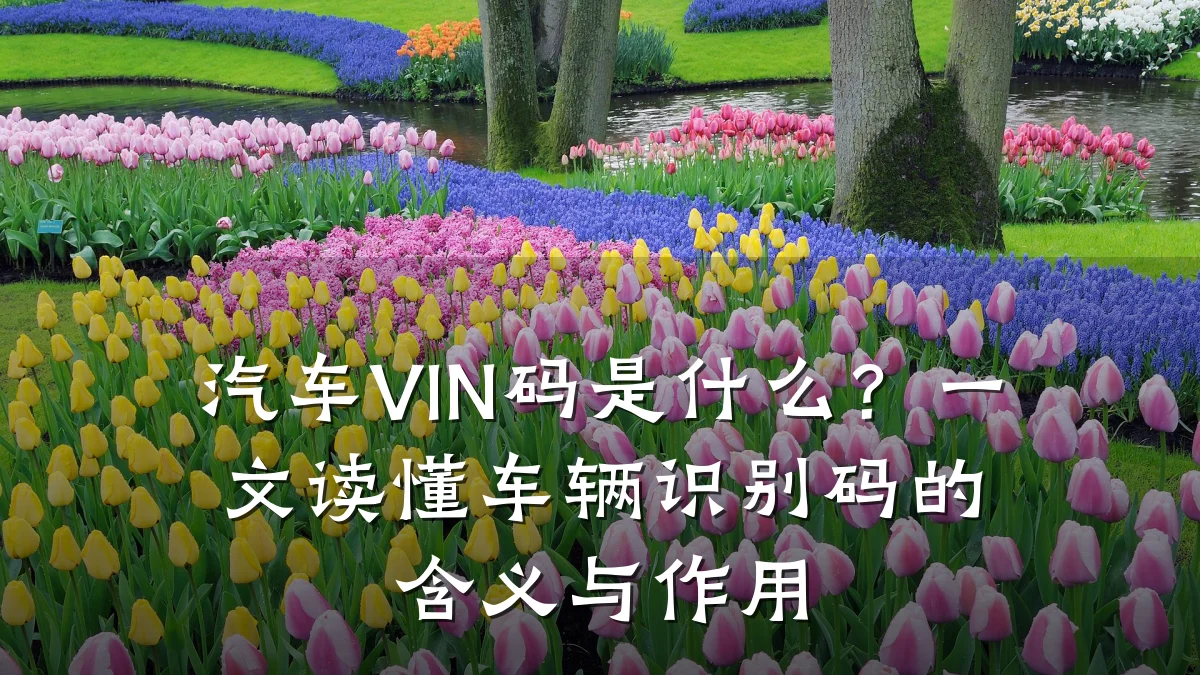 汽车VIN码是什么?一文读懂车辆识别码的含义与作用