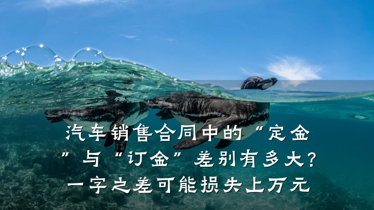 汽车销售合同中的“定金”与“订金”差别有多大?一字之差可能损失上万元
