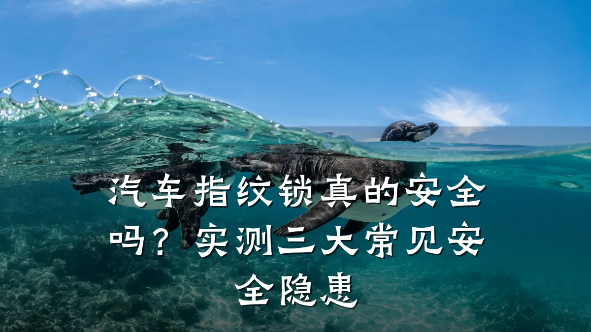 汽车指纹锁真的安全吗?实测三大常见安全隐患