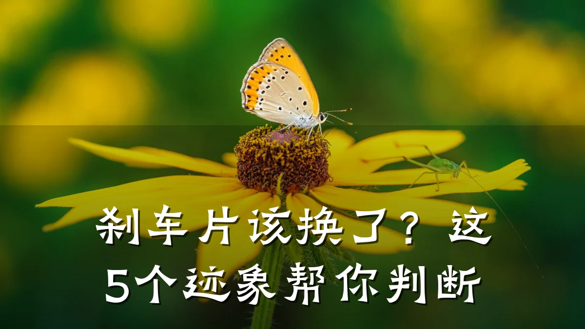 刹车片该换了?这5个迹象帮你判断
