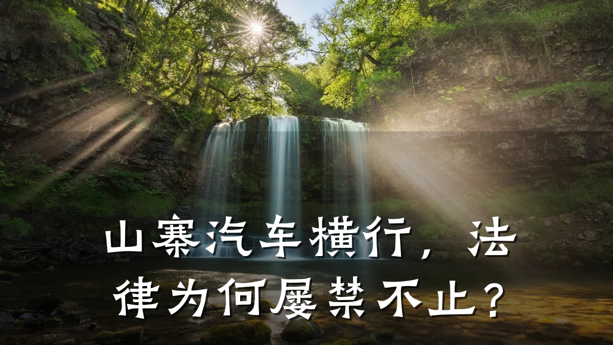 山寨汽车横行,法律为何屡禁不止?
