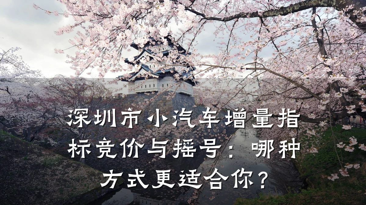 深圳市小汽车增量指标竞价与摇号:哪种方式更适合你?