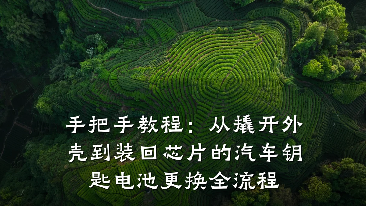 手把手教程:从撬开外壳到装回芯片的汽车钥匙电池更换全流程