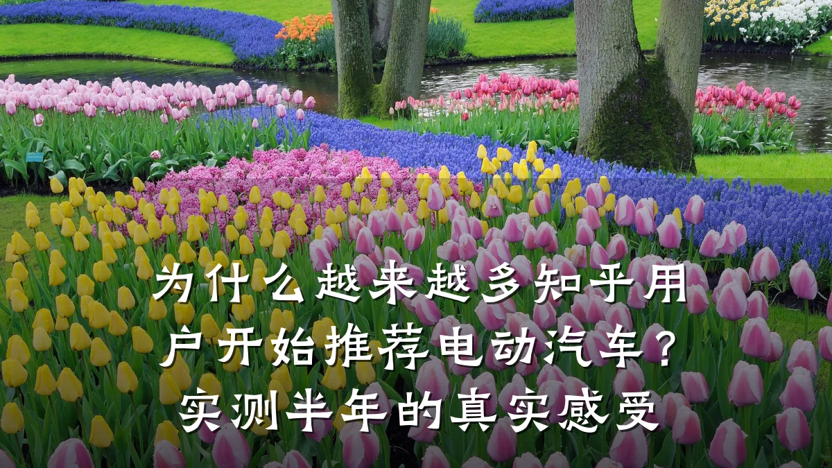 为什么越来越多知乎用户开始推荐电动汽车?实测半年的真实感受