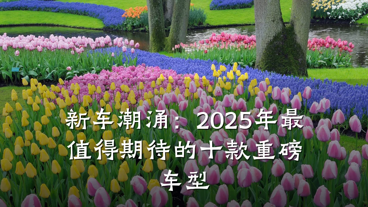 新车潮涌:2025年最值得期待的十款重磅车型