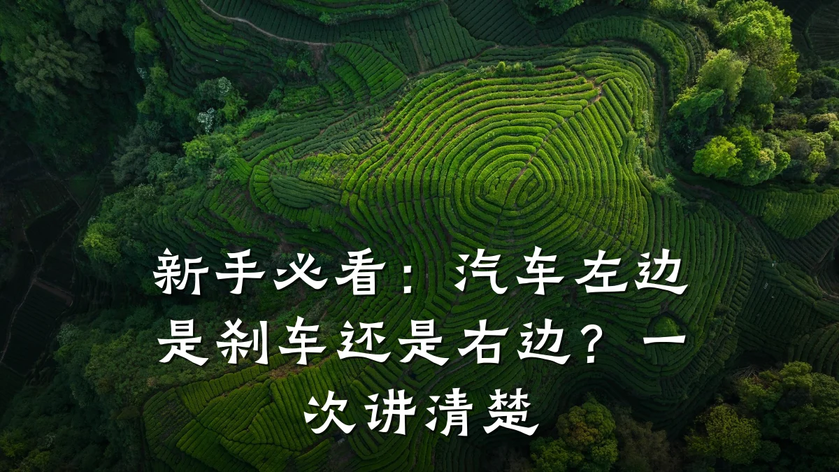 新手必看:汽车左边是刹车还是右边?一次讲清楚