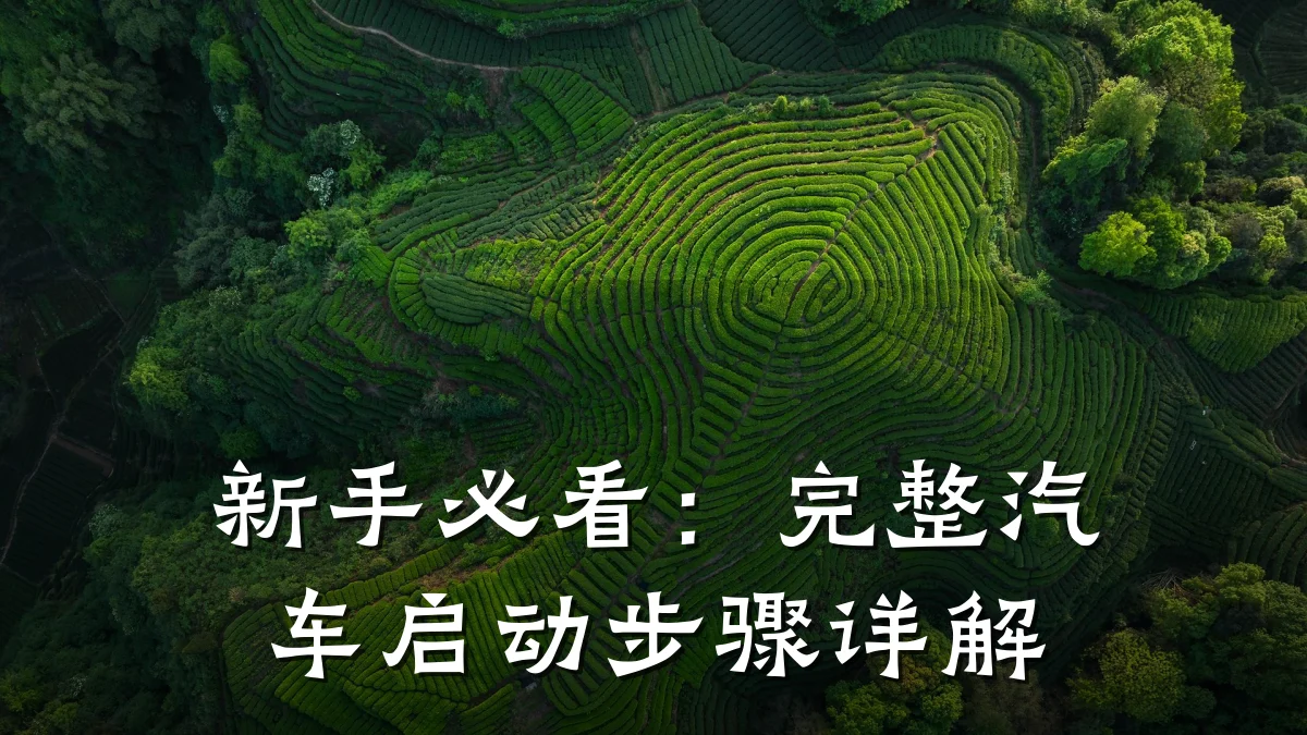 新手必看:完整汽车启动步骤详解