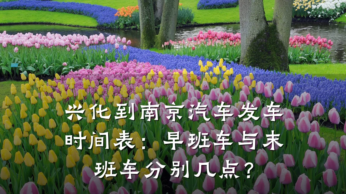 兴化到南京汽车发车时间表：早班车与末班车分别几点？