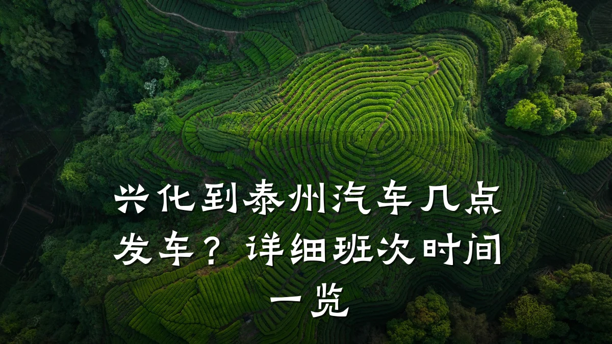 兴化到泰州汽车几点发车？详细班次时间一览