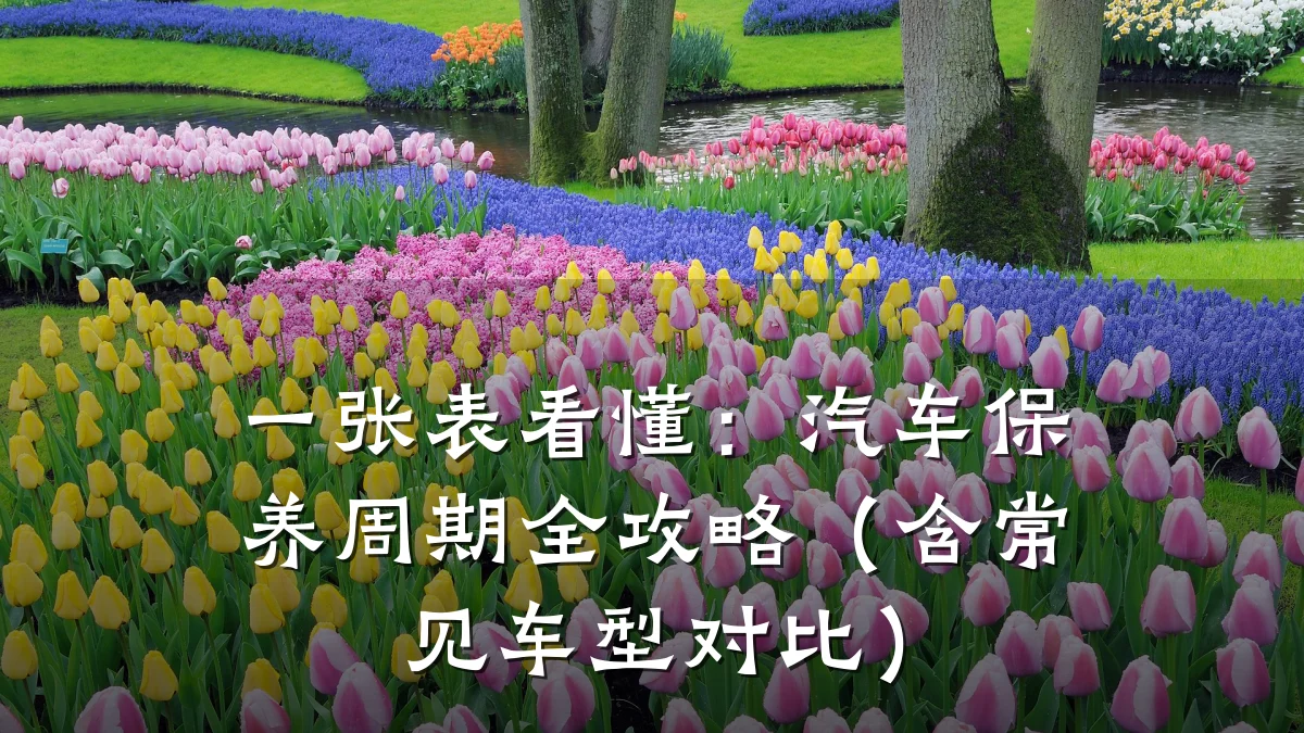 一张表看懂:汽车保养周期全攻略(含常见车型对比)