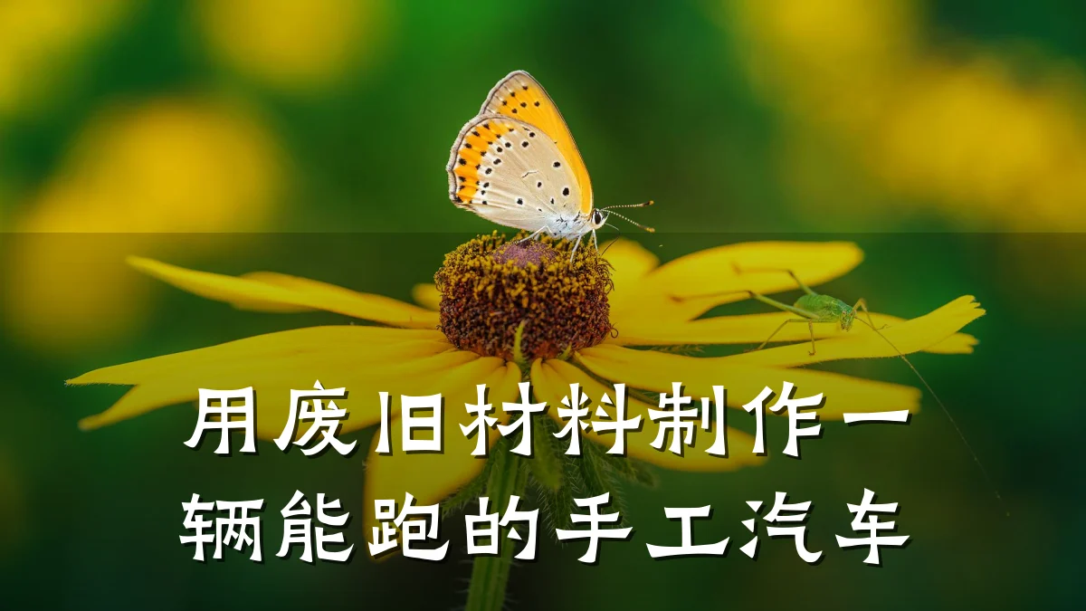 用废旧材料制作一辆能跑的手工汽车