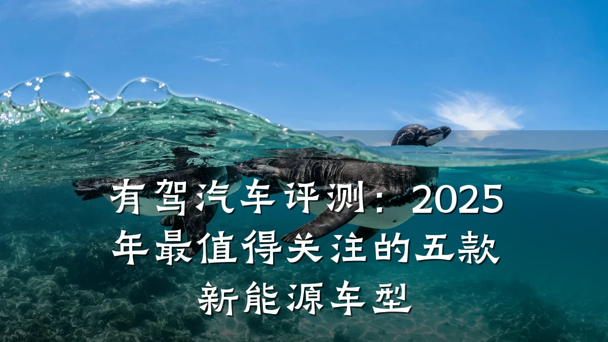 有驾汽车评测:2025年最值得关注的五款新能源车型