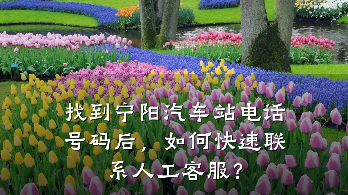找到宁阳汽车站电话号码后，如何快速联系人工客服？