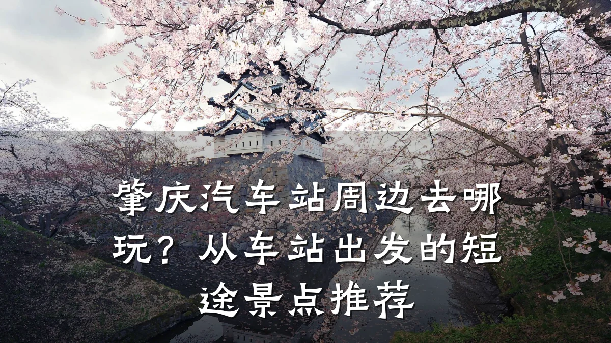 肇庆汽车站周边去哪玩?从车站出发的短途景点推荐