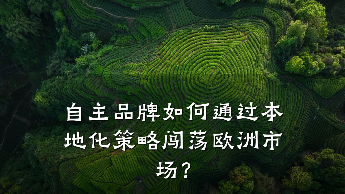 自主品牌如何通过本地化策略闯荡欧洲市场?