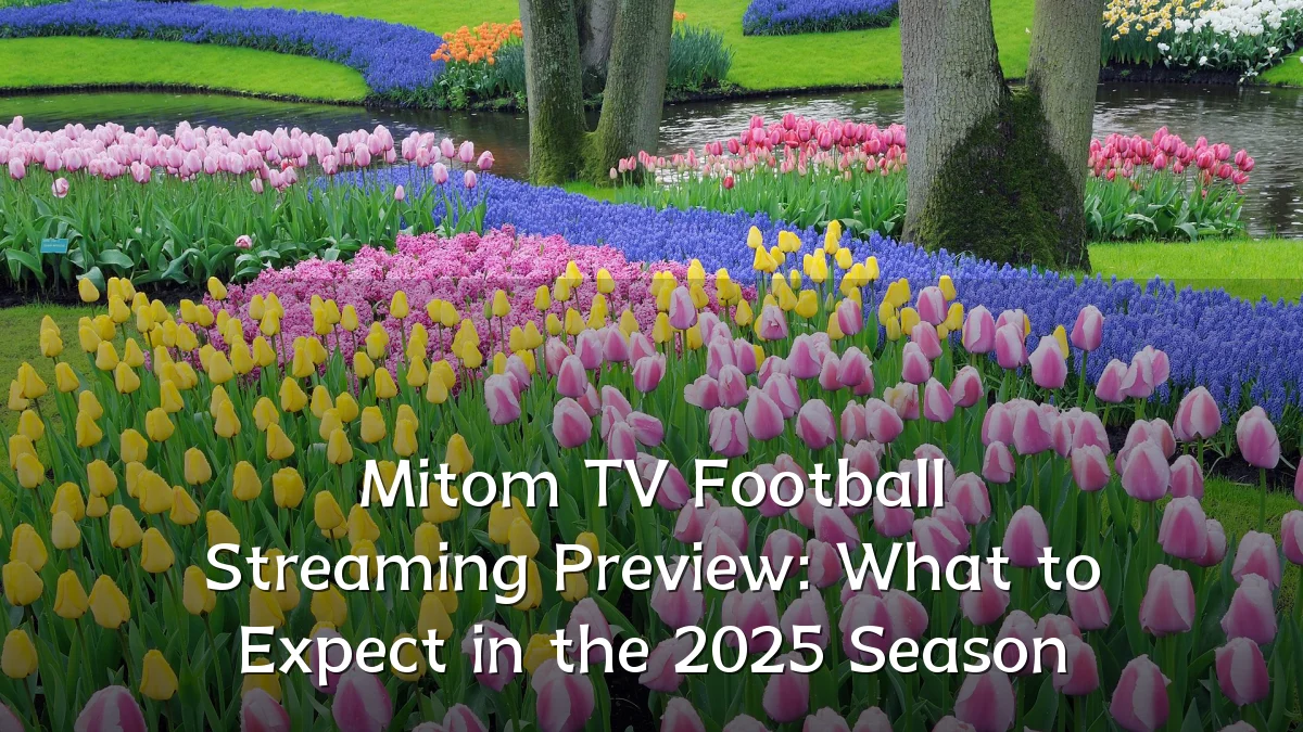 Mitom TV Football Streaming Preview: What to Expect in the 2025 Season